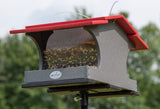 JCS Wildlife Large Poly Hopper Bird Feeder  - Mounting Pole Bundles Available!
