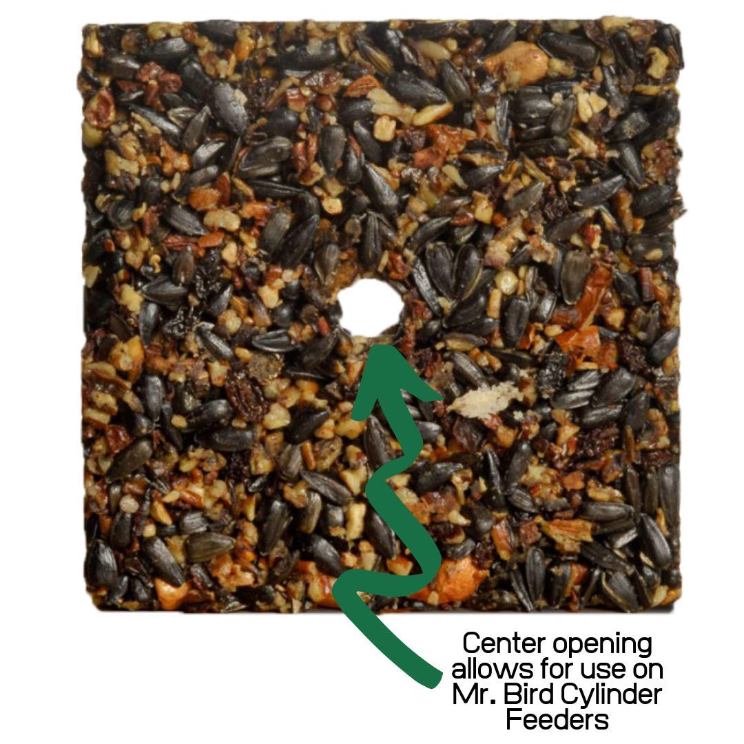 Mr. Bird Woodpecker Feast Small Wild Bird Seed Cake 8 oz.