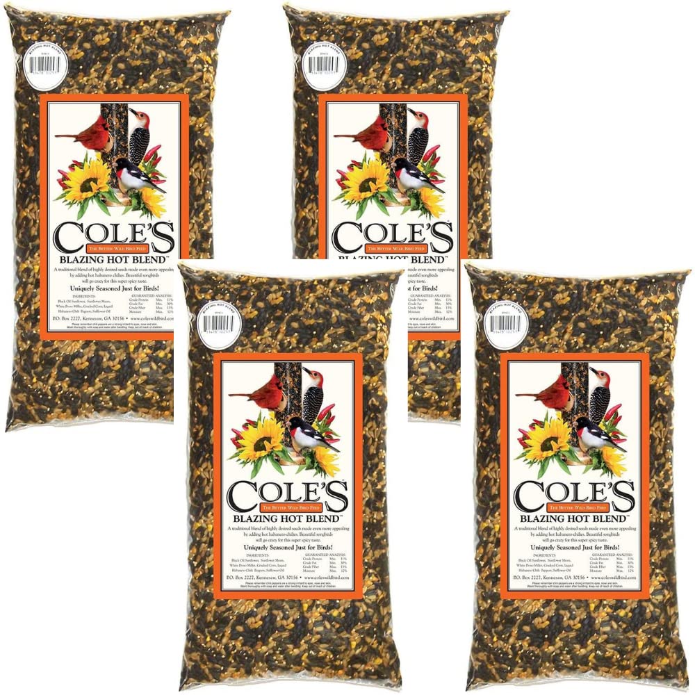 Cole's Blazing Hot Blend Bird Seed, 10 lb Bag, BH10