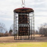 Squirrel Stopper Large Round Squirrel Proof Suet Feeder with Easy-Open Side Door - Holds 4 Suet Cakes