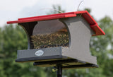 JCS Wildlife Large Poly Hopper Bird Feeder  - Mounting Pole Bundles Available!