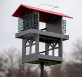 JCS Wildlife Double Fly Thru Bird Feeder with Suet Cages