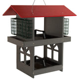 JCS Wildlife Double Fly Thru Bird Feeder with Suet Cages