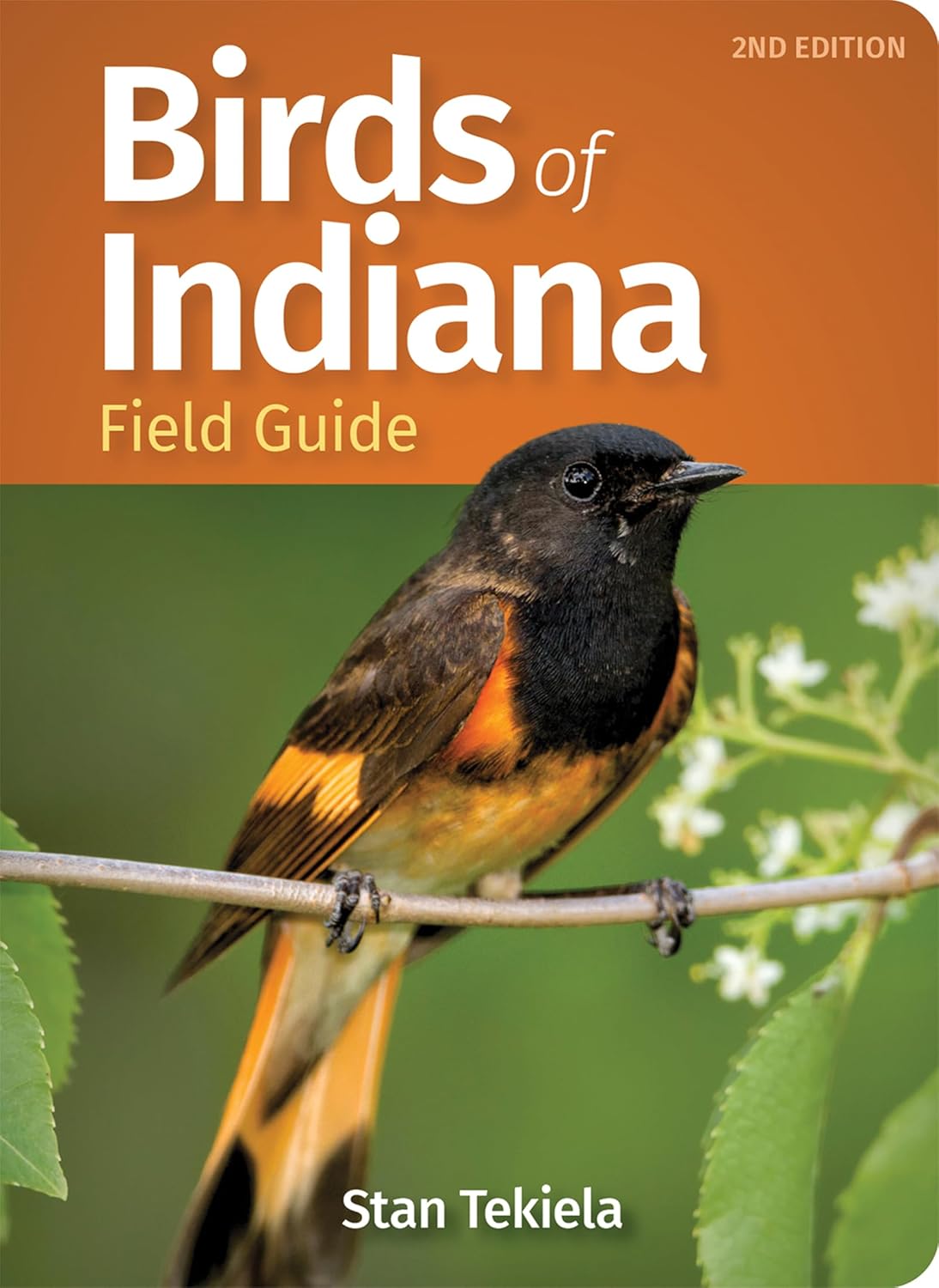 Birds of Indiana 2nd Edition