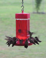 First Nature Large Hummingbird Feeder 3055 32 oz. (1, 2, 3, 4 or 6 Pack)