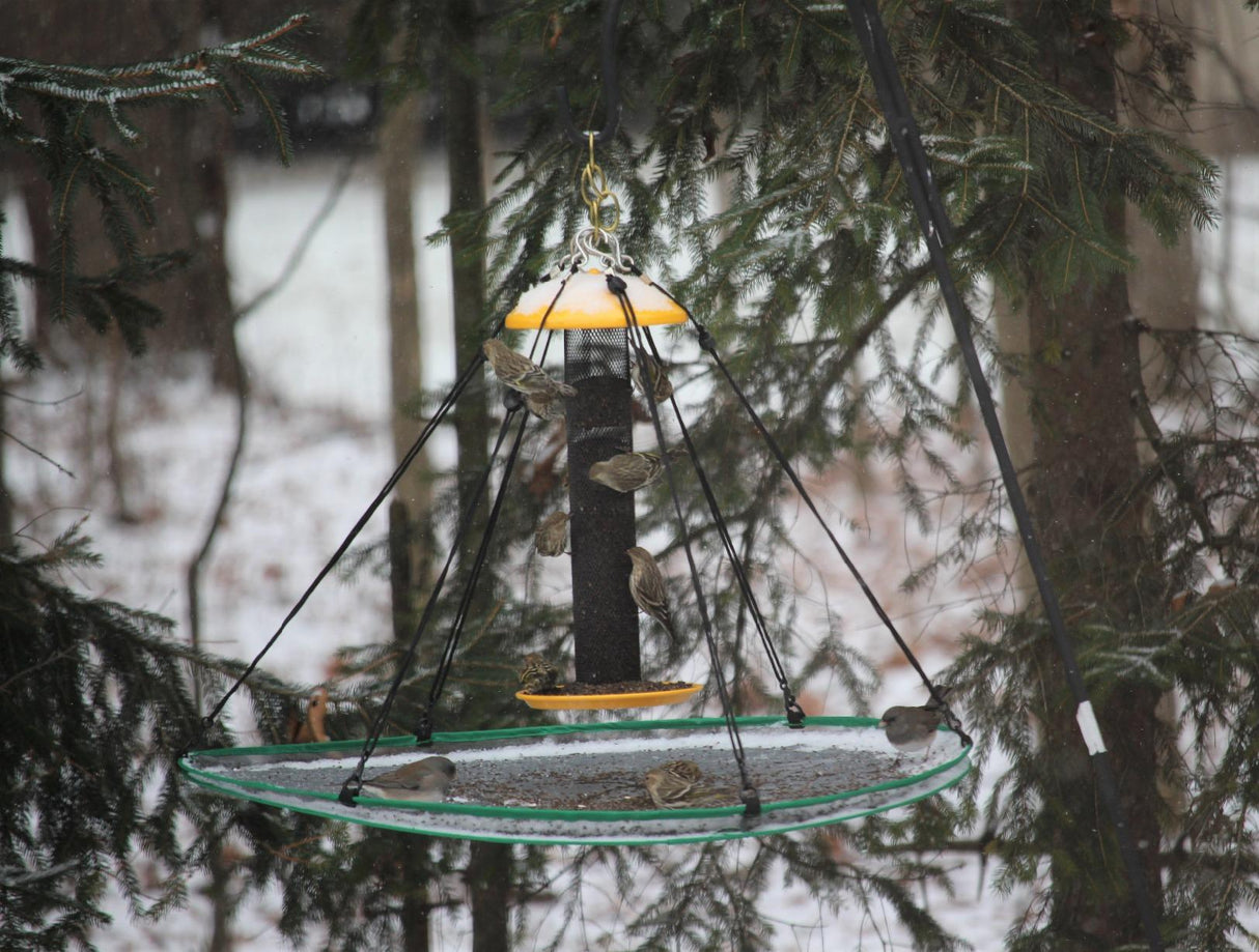 Songbird Essentials Universal Seed Hoop for Bird Feeders