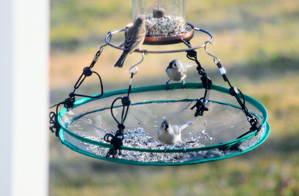 Songbird Essentials Universal Seed Hoop for Bird Feeders