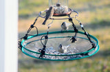 Songbird Essentials Universal Seed Hoop for Bird Feeders