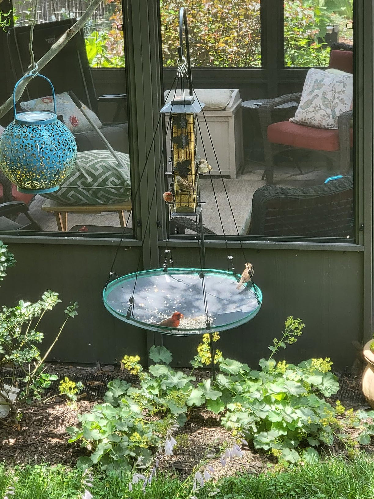 Songbird Essentials Universal Seed Hoop for Bird Feeders