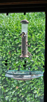 Songbird Essentials Universal Seed Hoop for Bird Feeders