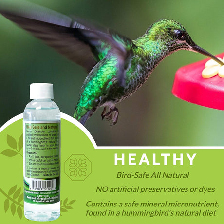 Photo of a hummingbird at a feeder showing vibrant green and iridescent feathers, a red feeder, and a bottle of nectar.
