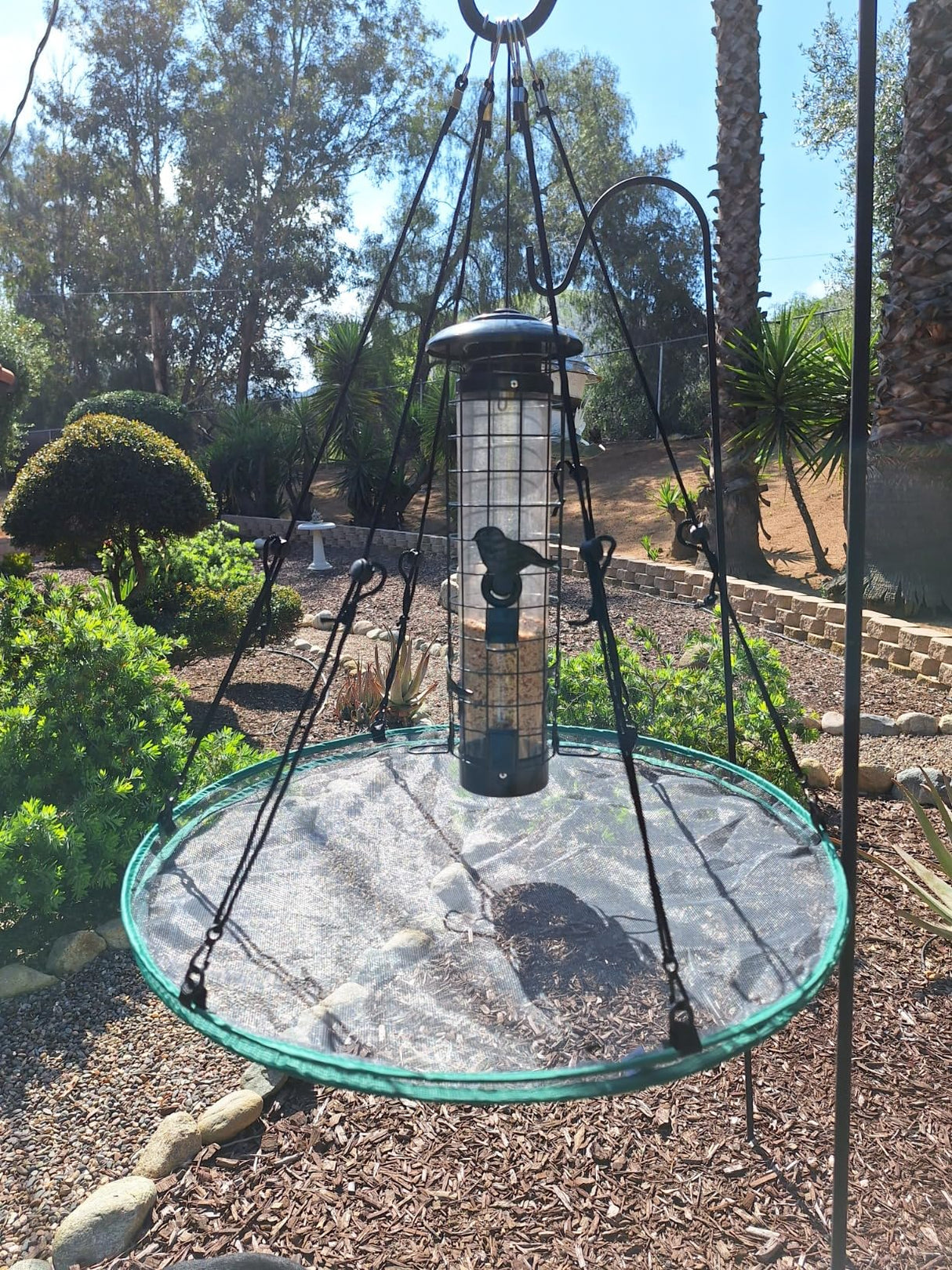 Songbird Essentials Universal Seed Hoop for Bird Feeders