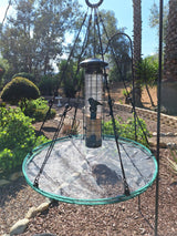 Songbird Essentials Universal Seed Hoop for Bird Feeders