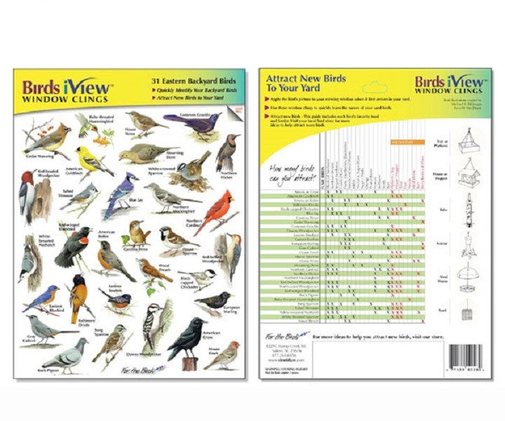 Birds iView window cling featuring 31 eastern backyard birds in a vibrant illustration showing a cardinal, blue jay, and woodpecker amidst detailed foliage and birdhouses
