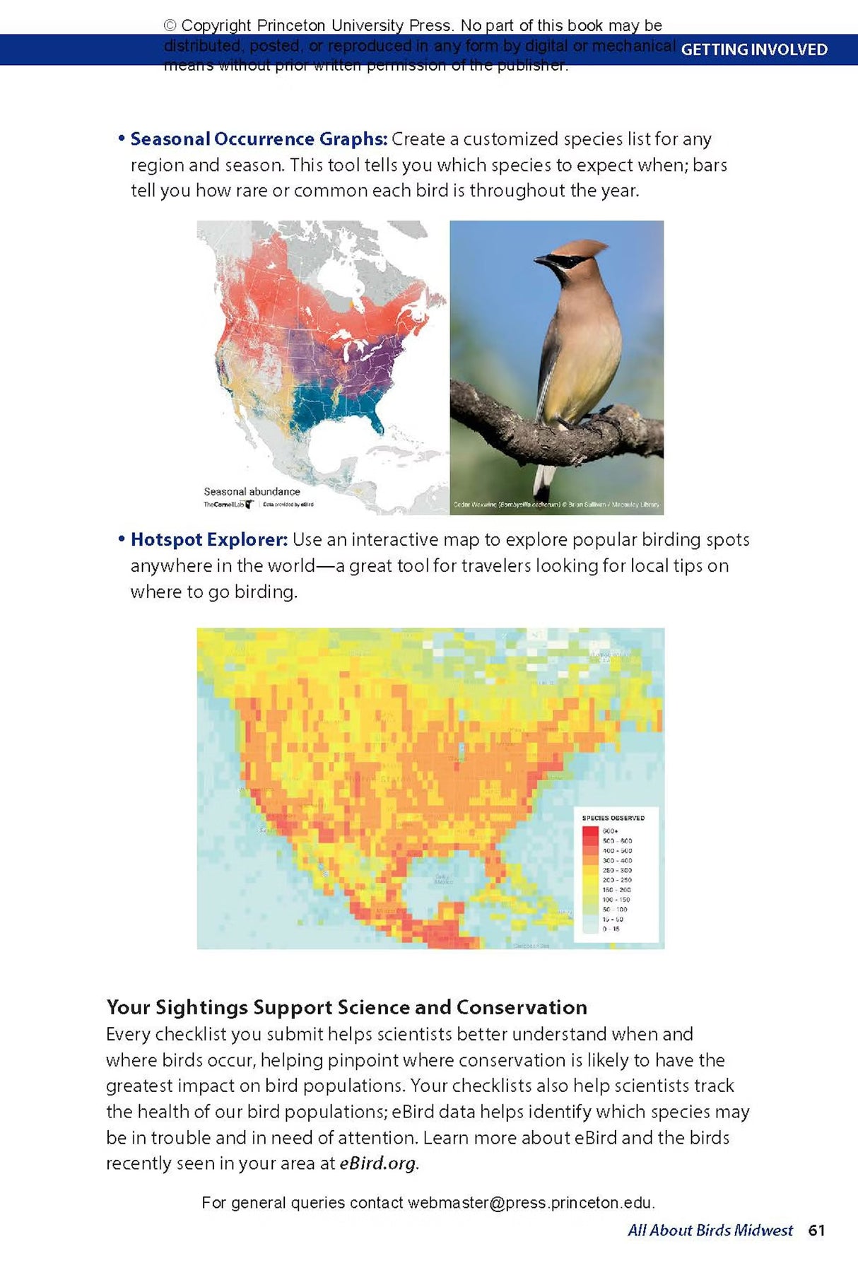 All About Birds Midwest