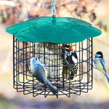 Squirrel Defeater Double-Suet Cage Feeder