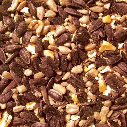 Cole's Blazing Hot Blend Bird Seed, 5 lb Bag, BH05