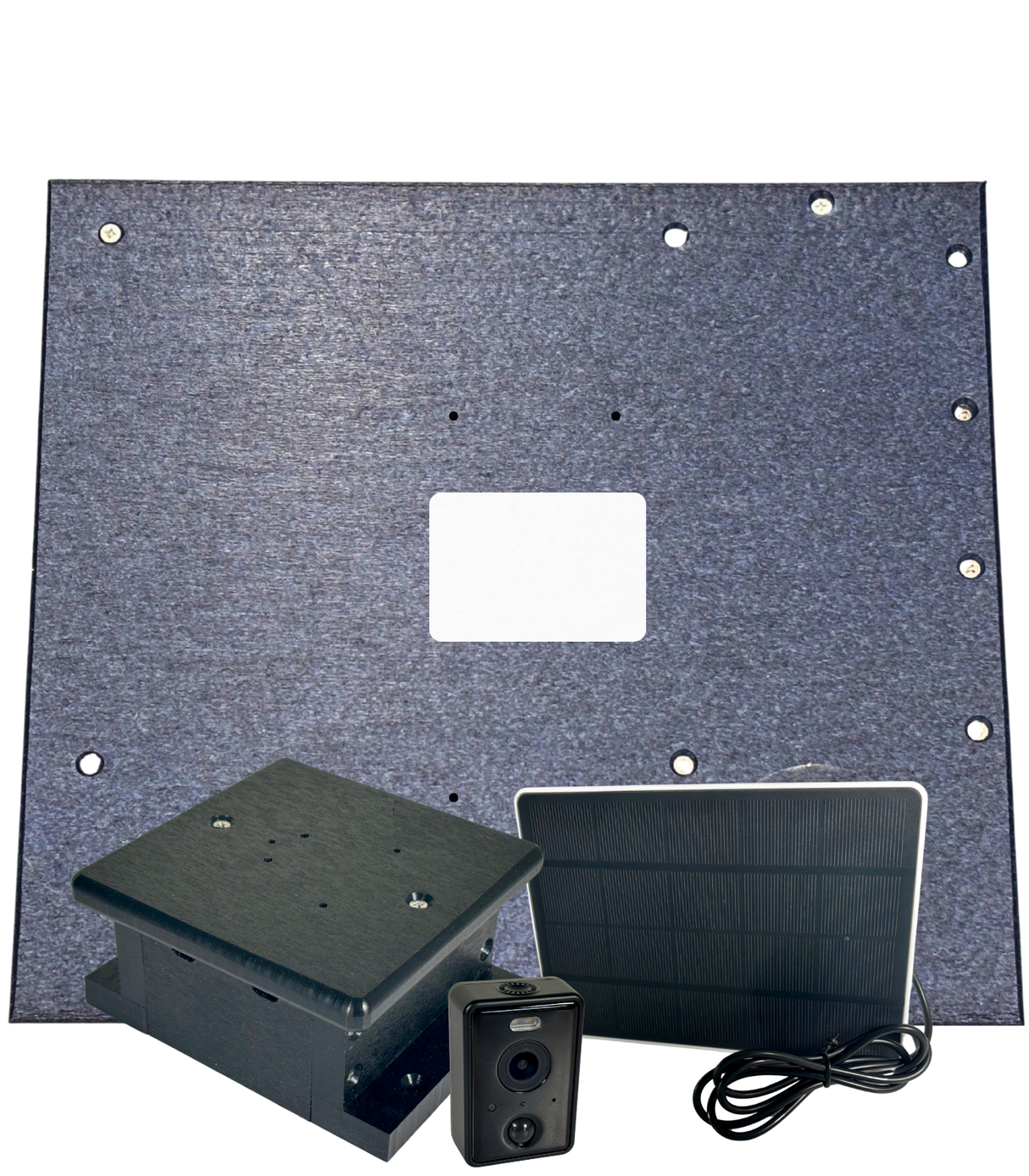 JCS Wildlife Squirrel House Camera Roof Swap