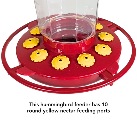 First Nature 3090 Hummingbird Nectar Flower Feeder - Made in the USA 32 oz. (1, 2, 4 or 6 Packs)