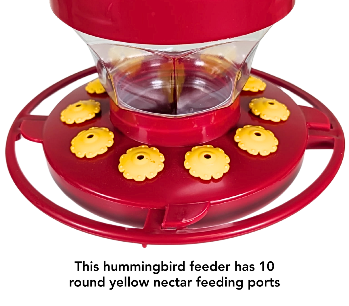 First Nature 3091 Flower Hummingbird Nectar  Feeder with Easy Cleaning 16 oz. (1, 2, 4 and 6 Packs)