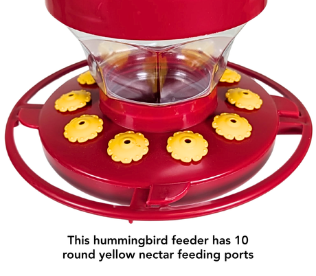 First Nature 3091 Flower Hummingbird Nectar  Feeder with Easy Cleaning 16 oz. (1, 2, 4 and 6 Packs)