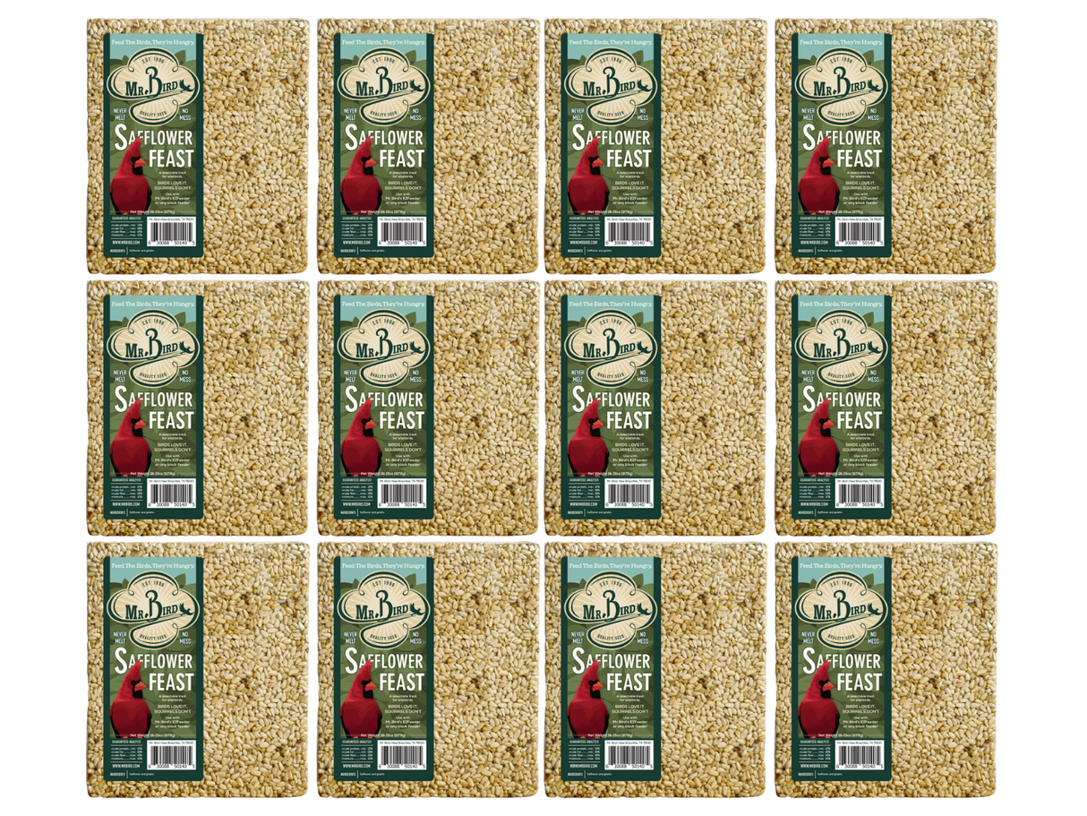 Mr. Bird Safflower Feast Large Wild Bird Seed Cake 1 lb. 15 oz.