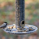 Aspects 449 Quick-Clean Seed Tray