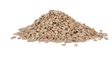 JCS Wildlife 20 Pound Sunflower Chips in a pile on a white background, ideal for bird feeding.