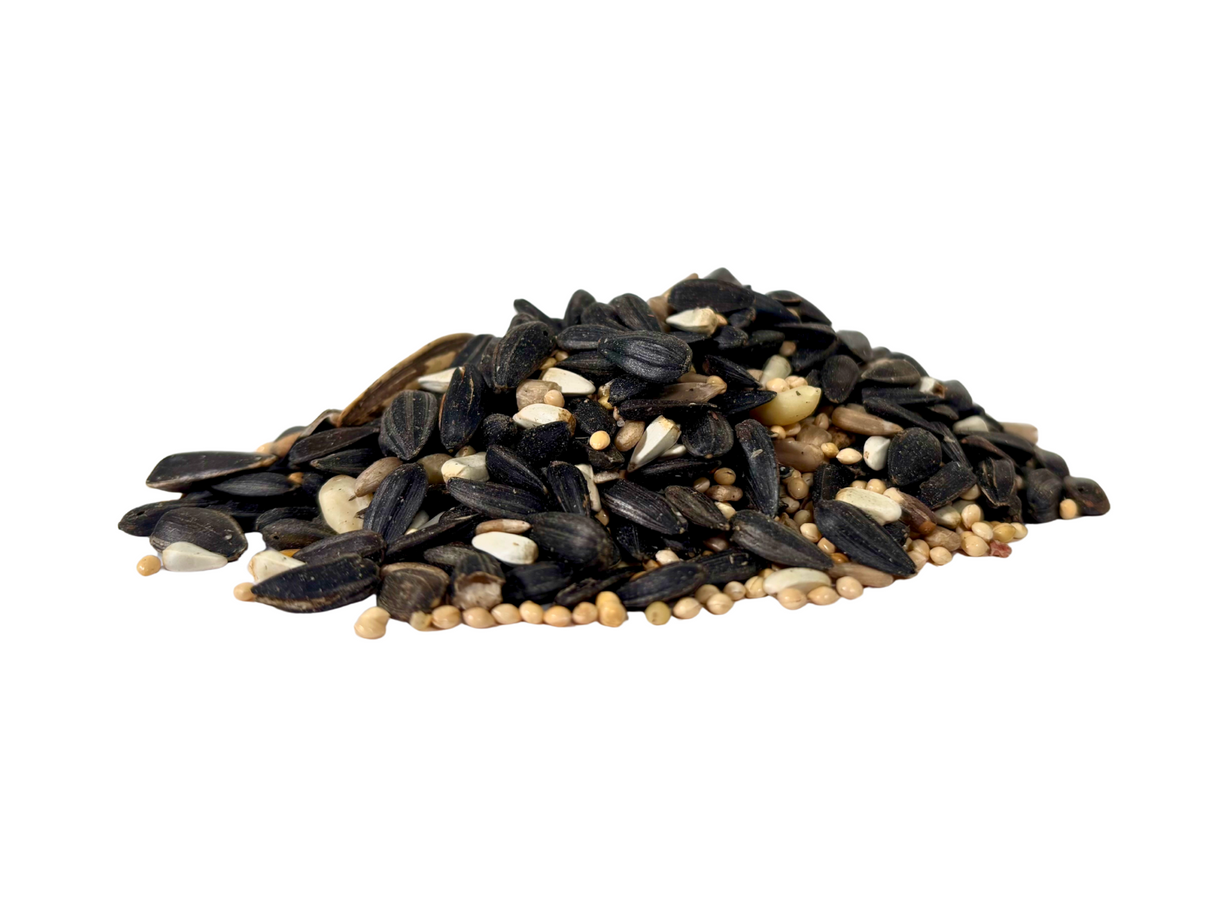 Photograph of a pile of birdseed containing black oil sunflower seeds white millet and small beige seeds against a white background
