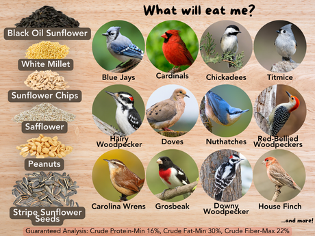 JCS Wildlife Chirper's Choice 16lb Loose Seed Bag