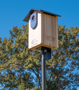 Cedar Ultimate Bluebird House with UPK