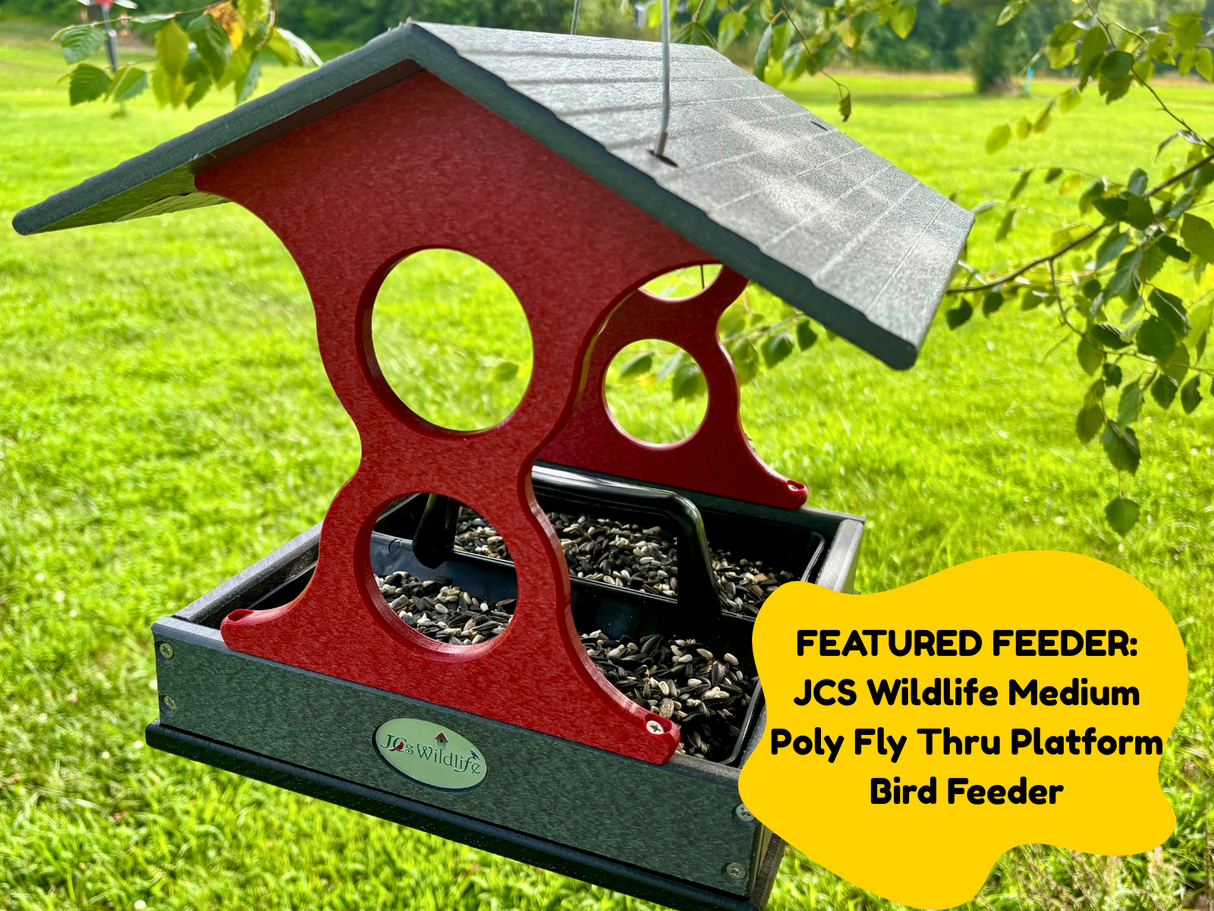 JCS Wildlife Medium Poly Fly Thru Platform Bird Feeder in a backyard setting showing a red and gray feeder filled with sunflower seeds with a dark gray roof and visible tree branches