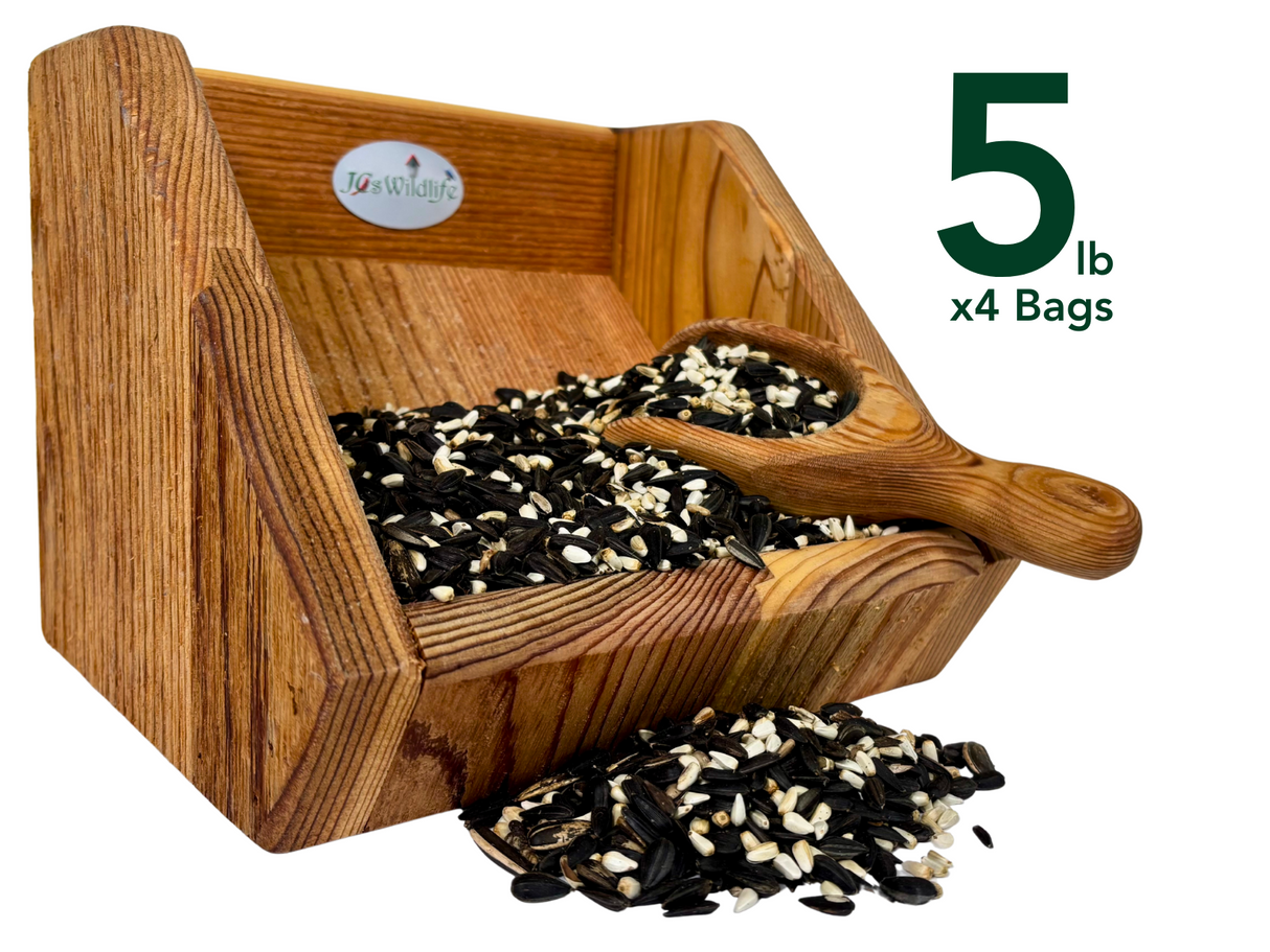 JQsWildlife wooden bird feeder filled with black oil sunflower seeds white striped seeds and niger seeds spilling onto a white background

