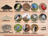Informative graphic depicting various bird species including goldfinches, cardinals, and blue jays feeding on black oil sunflower seeds, safflower, and striped sunflower seeds on a wood background
