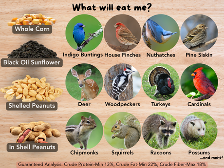 JCS Wildlife Critter Vittles 5lb Loose Seed Bag
