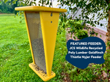JCS Wildlife photograph of a yellow recycled poly lumber goldfinch thistle nyjer feeder hanging from a tree branch in a backyard with green grass and a house in the background featuring a metal mesh a small platform and dark seeds