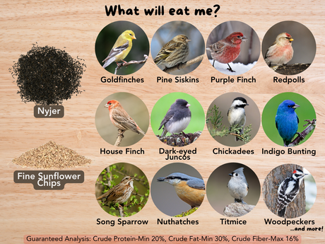 JCS Wildlife Finch Favorite 5lb Loose Seed Bag