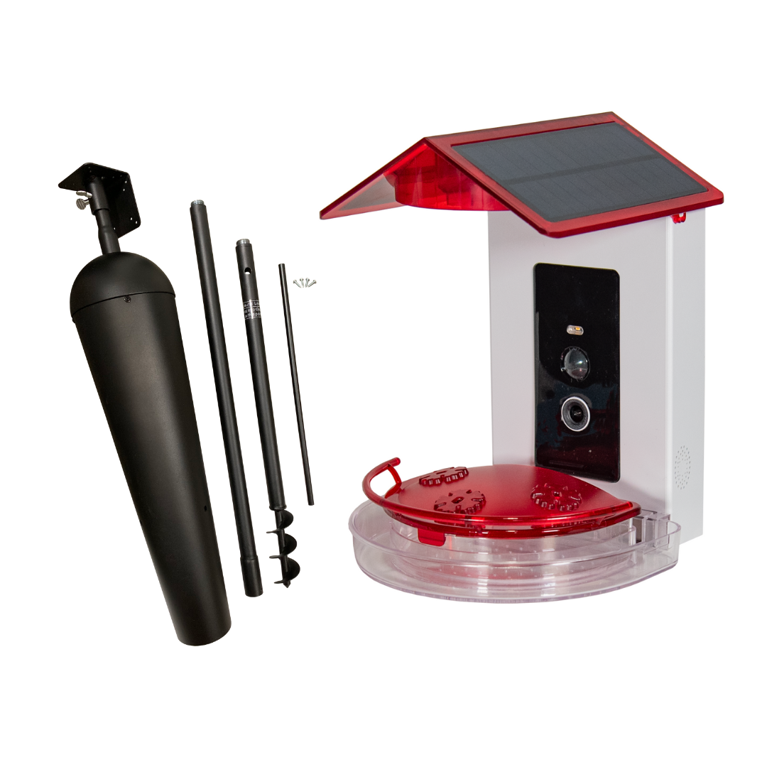 JCS Wildlife Smart 2-in-1 Hummingbird Feeder