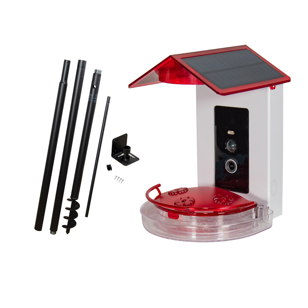 JCS Wildlife Smart 2-in-1 Hummingbird Feeder