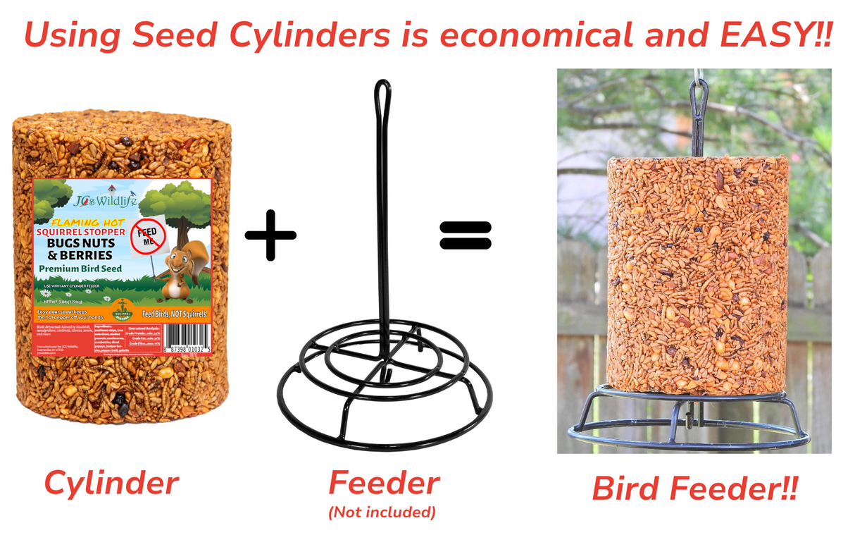 JCS Wildlife Squirrel Stopper Bugs Nuts & Berries Large Cylinder 3.8lbs