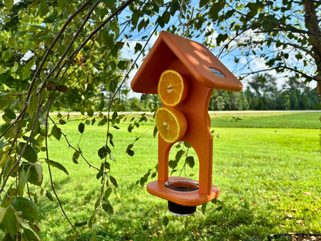 JCS Wildlife Hourglass Jelly and Fruit Oriole Bird Feeder