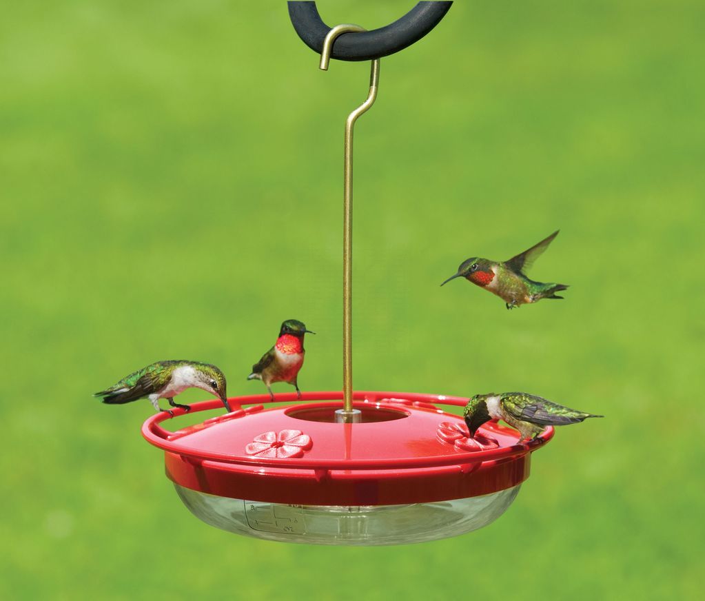 Aspects HummZinger HighView Hummingbird Feeder - Thumbnail 2