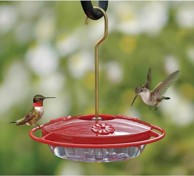 HummZinger Mini 8 oz hummingbird feeder with bright red cover attracts two hummingbirds in a garden.