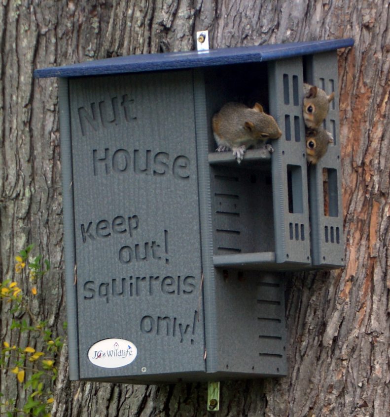 JCS  Wildlife Ultimate Squirrel House Nesting Box