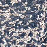 Close-up of JCS Wildlife Chirper's Choice 5lb Loose Seed Bag showing a mix of black oil sunflower seeds, white millet, and sunflower chips.