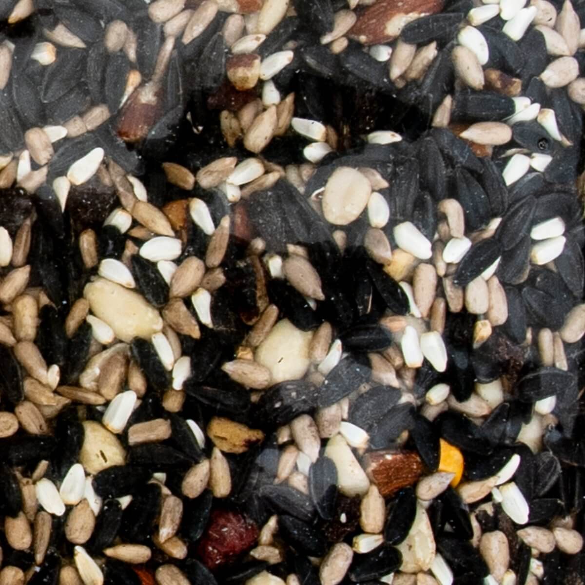 JCS Wildlife Fruit, Berry, Nut 5lb Loose Seed Bag - sunflower seeds, peanuts, safflower seeds, cranberries, and raisins mix.