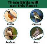 "Image showing birds that will use the JCS Wildlife cedar robin roost: Robins, Phoebes, Swallows, and Doves."