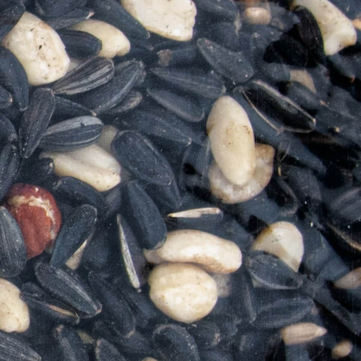 Close-up of JCS Wildlife Songbird Medley 5lb Loose Seed Bag with black oil sunflower seeds, split peanuts, and sunflower chips