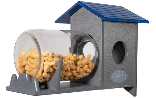 JCS Wildlife Squirrel Under Glass Mason Jar Peanut and Loose Corn Squirrel Feeder