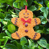 Mr. Bird Gingerbread Man Christmas Cookie Seed Ornament